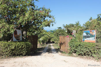 Cashew Grove Beach Resort 부수안가 외부 사진